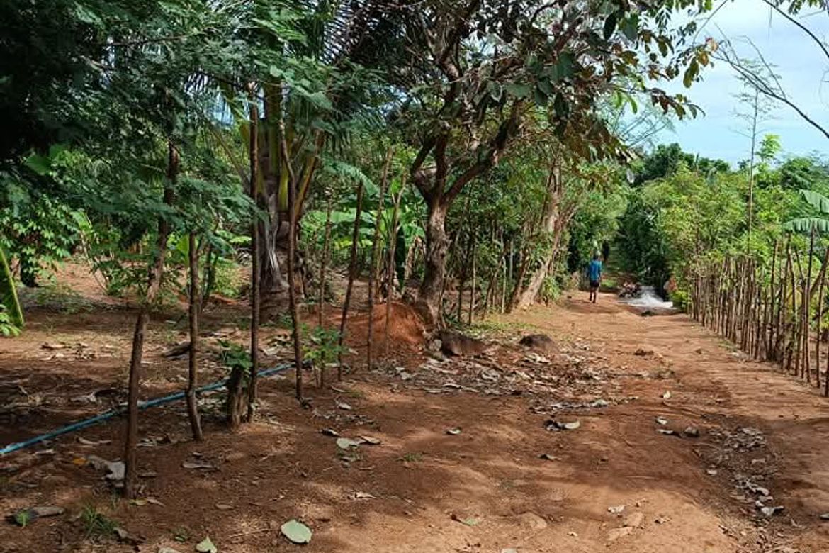 Land for Sale in Cabcaben, Mariveles, Bataan – photo 8