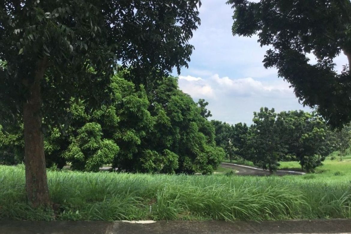 Land for Sale in Cabilang Baybay, Carmona, Cavite – photo 6