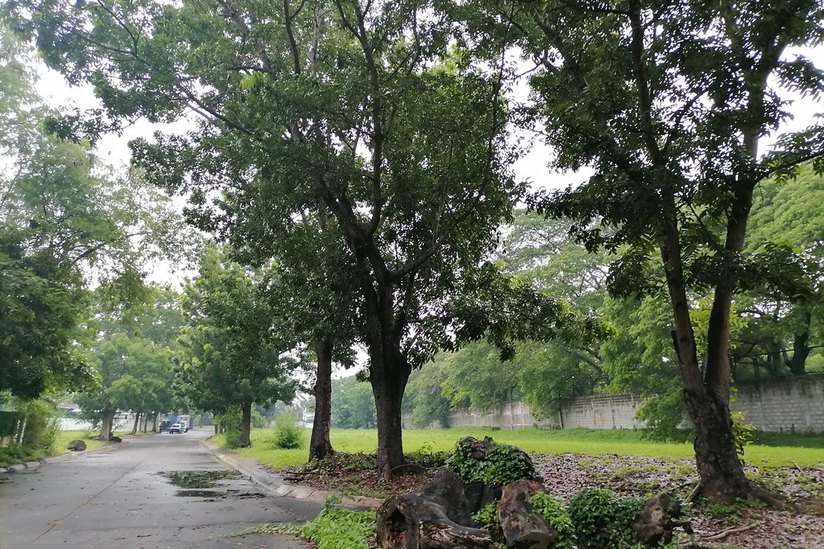 Land for Sale in Cabilang Baybay, Carmona, Cavite – photo 4