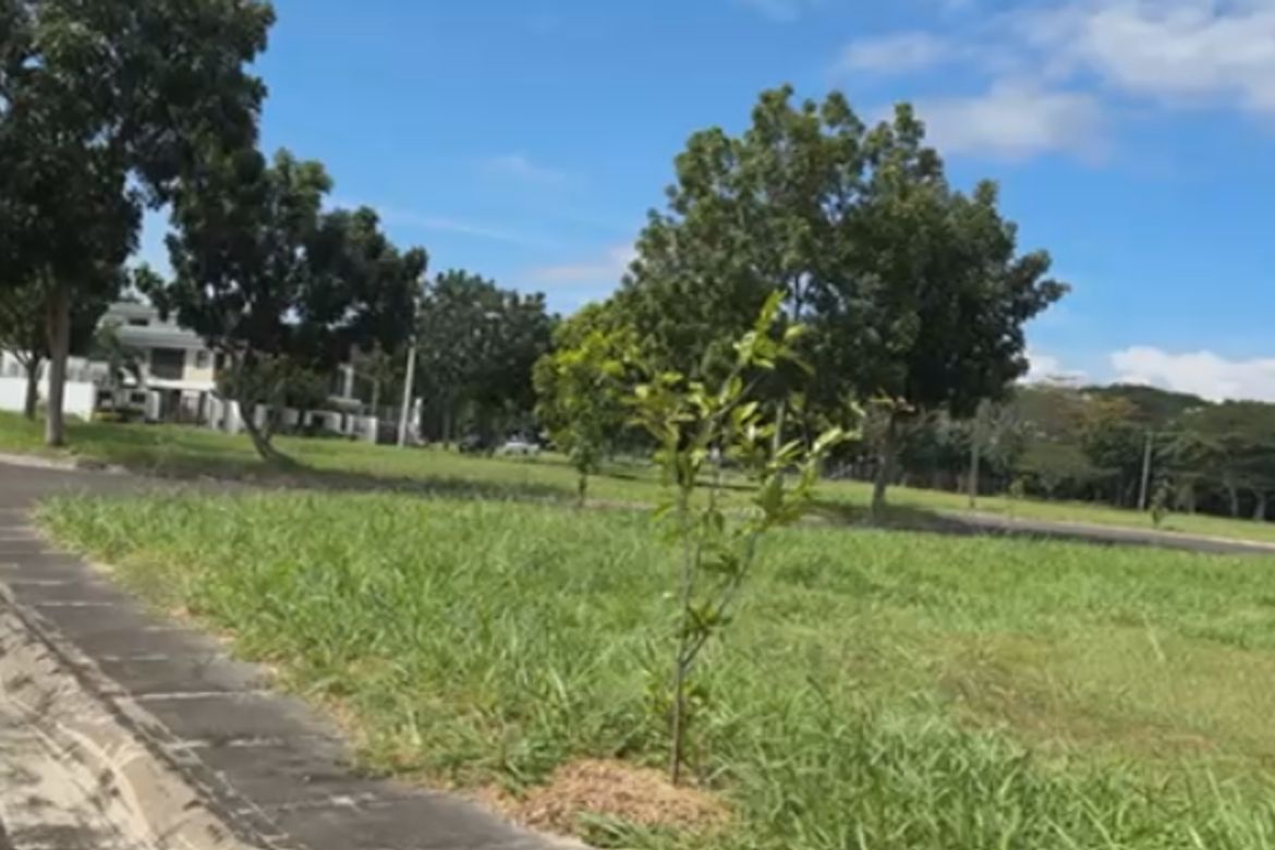 Land for Sale in Cabilang Baybay, Carmona, Cavite – photo 2
