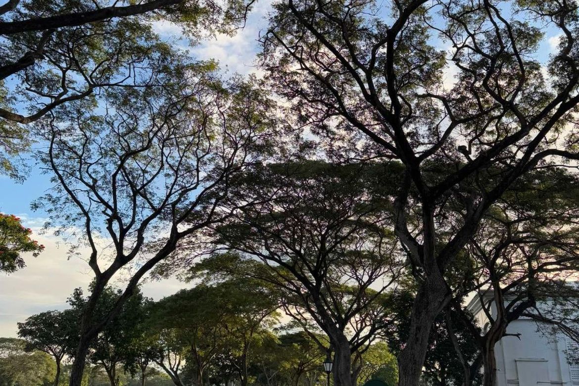 Land for Sale in Cabilang Baybay, Carmona, Cavite