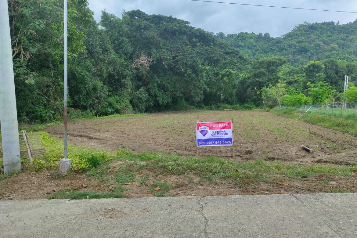 Land for Sale in Cabisilan, Bauang, La Union – photo 2
