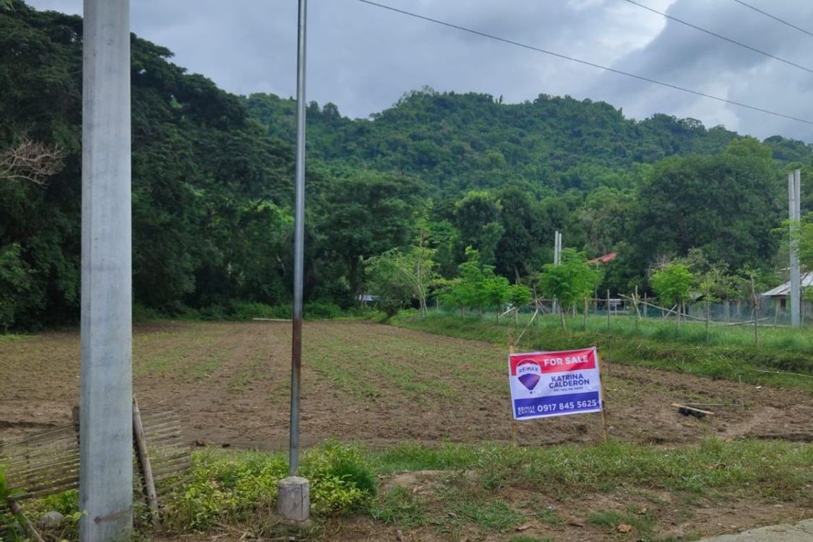 Land for Sale in Cabisilan, Bauang, La Union – photo 3