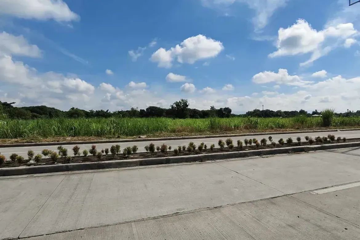 Land for Sale in Cabug, Bacolod, Negros Occidental – photo 2