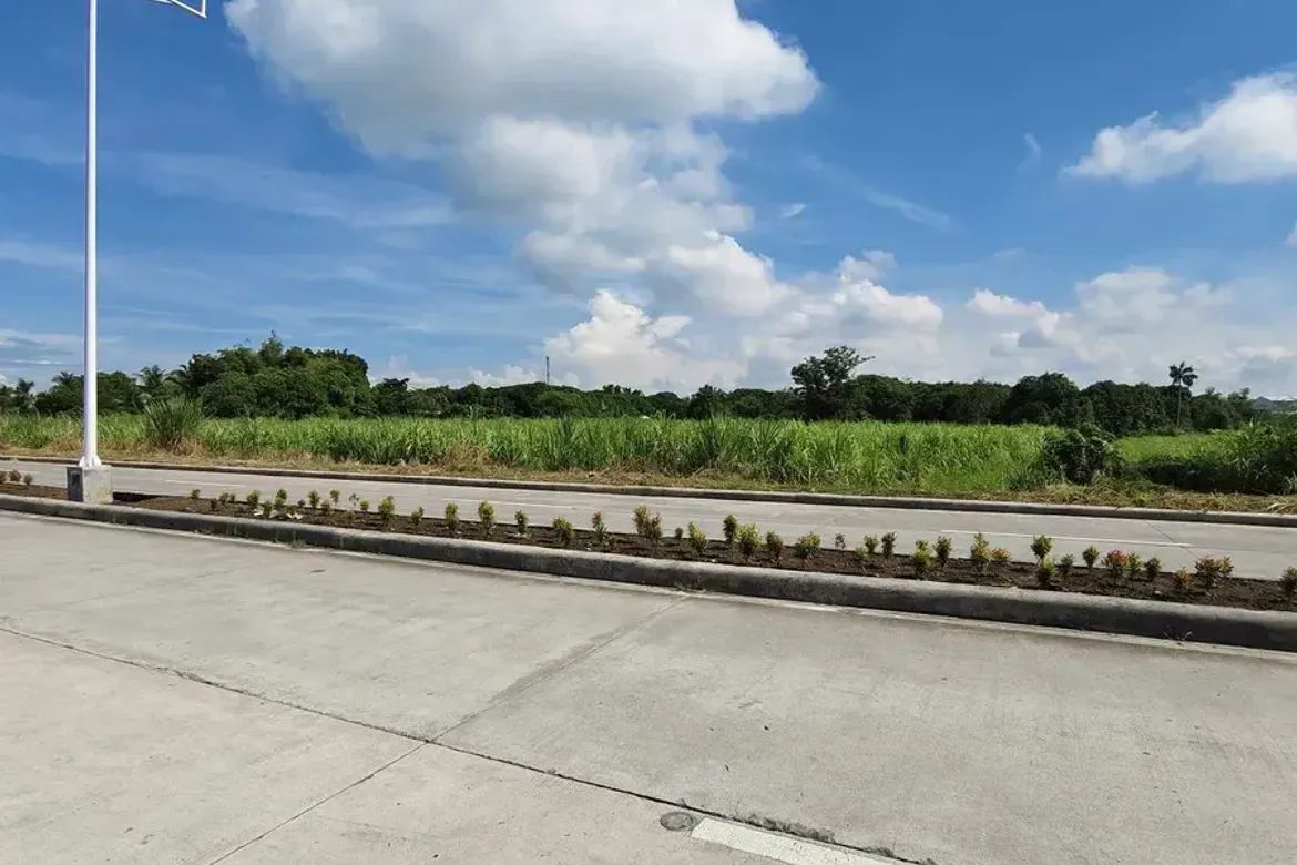 Land for Sale in Cabug, Bacolod, Negros Occidental – photo 4