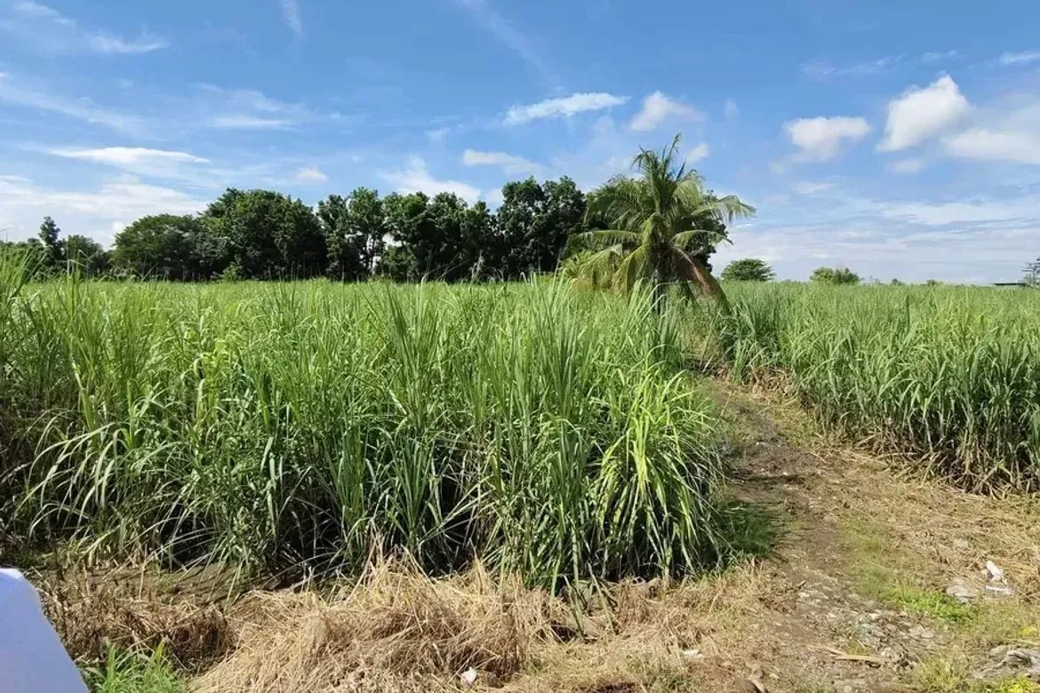 Land for Sale in Cabug, Bacolod, Negros Occidental – photo 7
