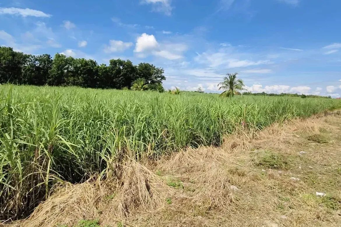 Land for Sale in Cabug, Bacolod, Negros Occidental – photo 8