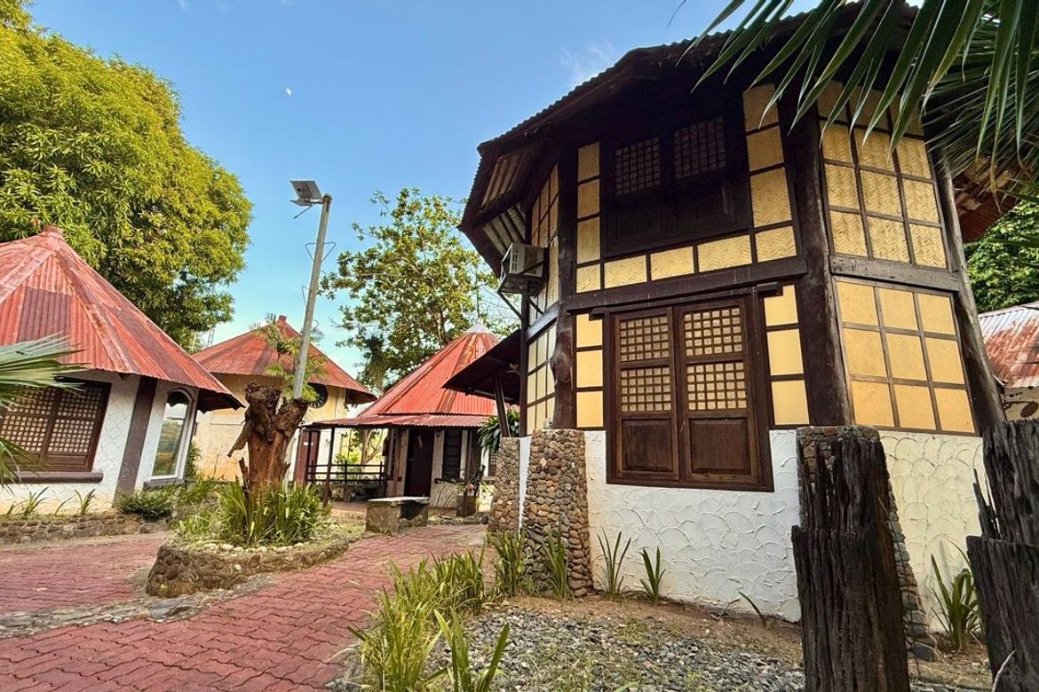 Land for Sale in Cadmang-Reserva, Cabangan, Zambales – photo 4
