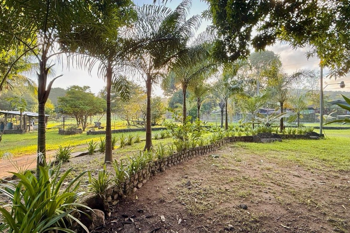 Land for Sale in Cadmang-Reserva, Cabangan, Zambales – photo 6