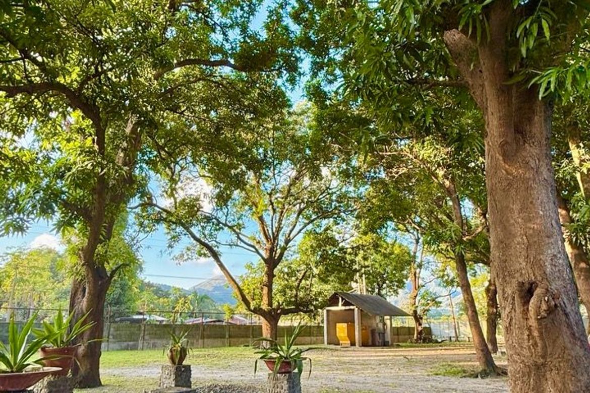 Land for Sale in Cadmang-Reserva, Cabangan, Zambales – photo 7