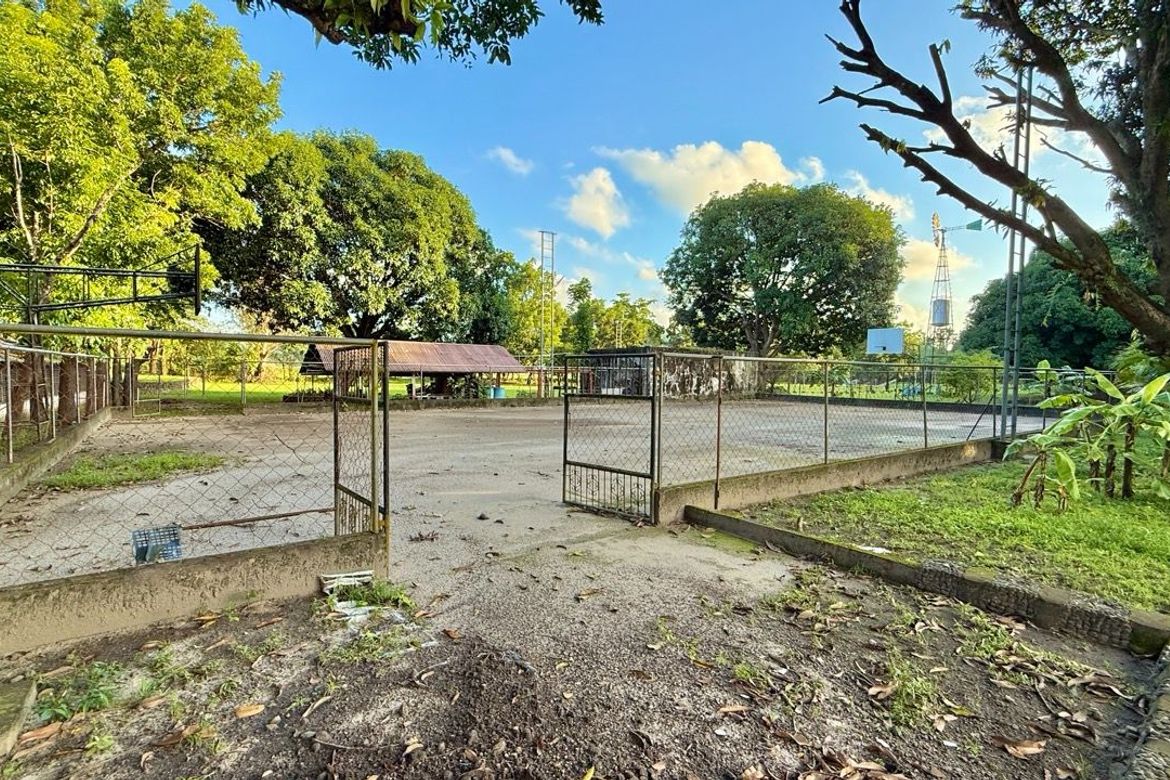 Land for Sale in Cadmang-Reserva, Cabangan, Zambales – photo 8