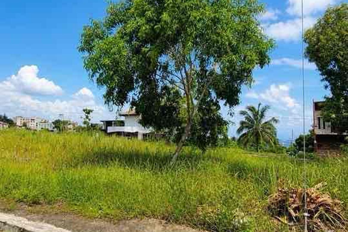 Land for Sale in Cadulawan, Talisay, Cebu – photo 2