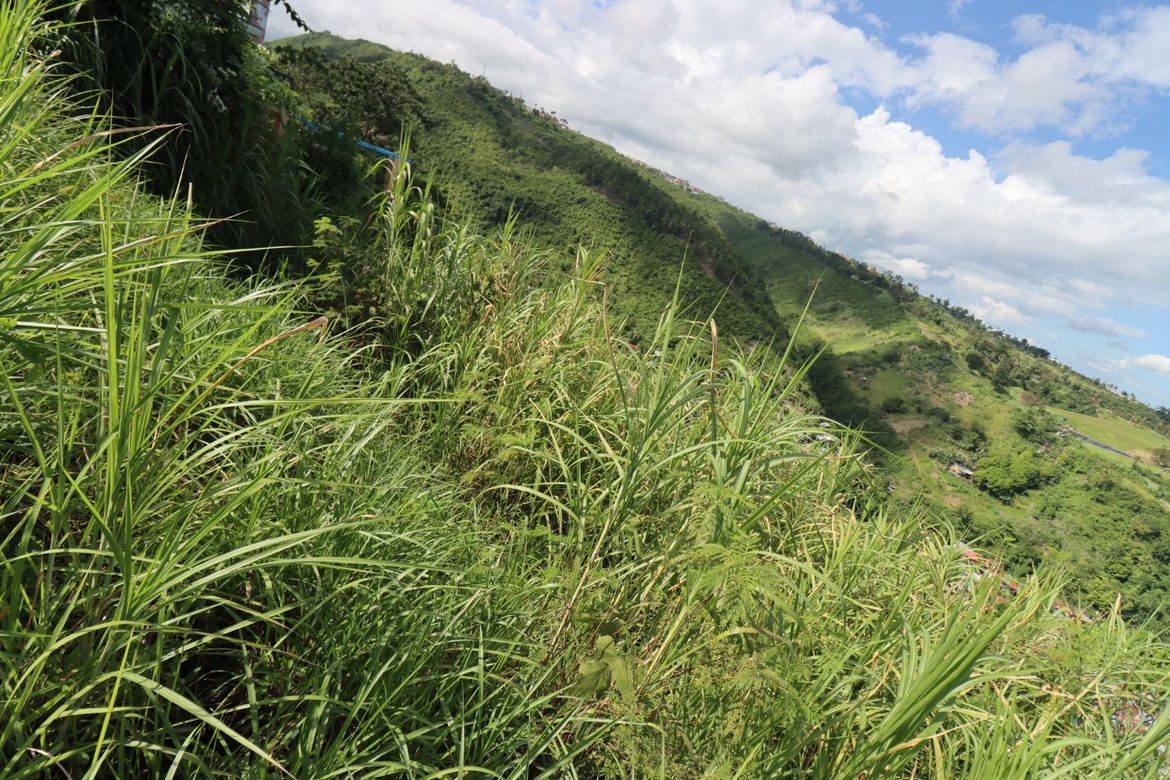 Land for Sale in Cadulawan, Talisay, Cebu – photo 8