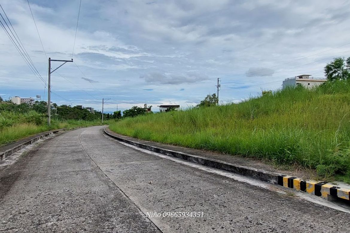 Land for Sale in Cadulawan, Talisay, Cebu