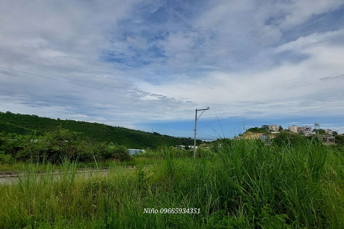 Land for Sale in Cadulawan, Talisay, Cebu – photo 2