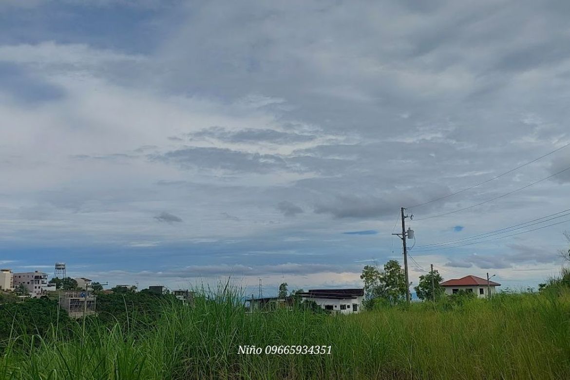 Land for Sale in Cadulawan, Talisay, Cebu – photo 3