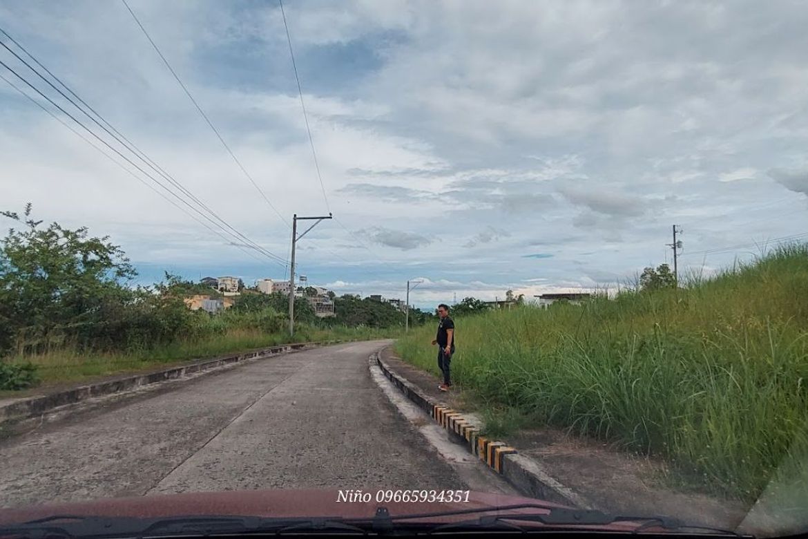 Land for Sale in Cadulawan, Talisay, Cebu – photo 4