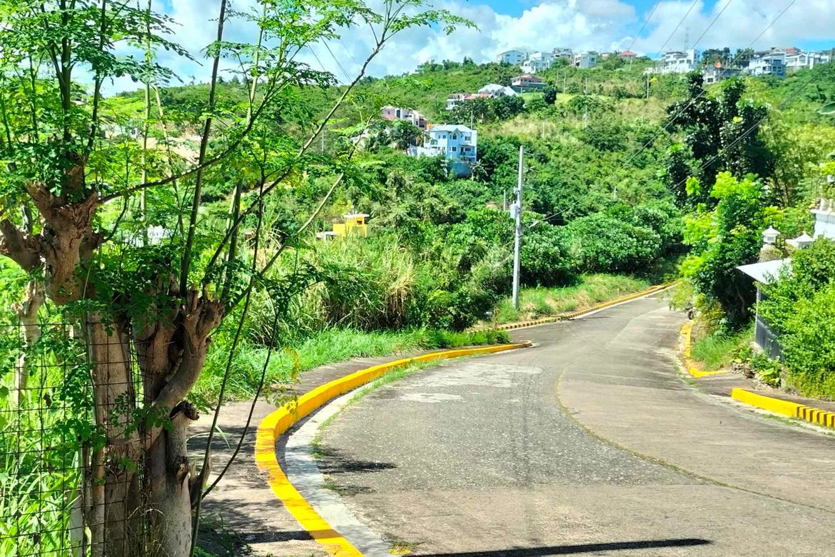Land for Sale in Cadulawan, Talisay, Cebu