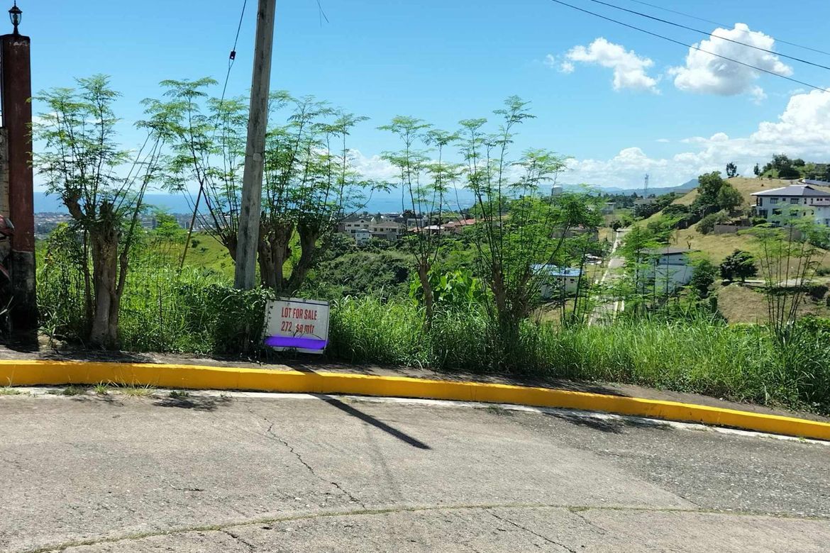 Land for Sale in Cadulawan, Talisay, Cebu – photo 2