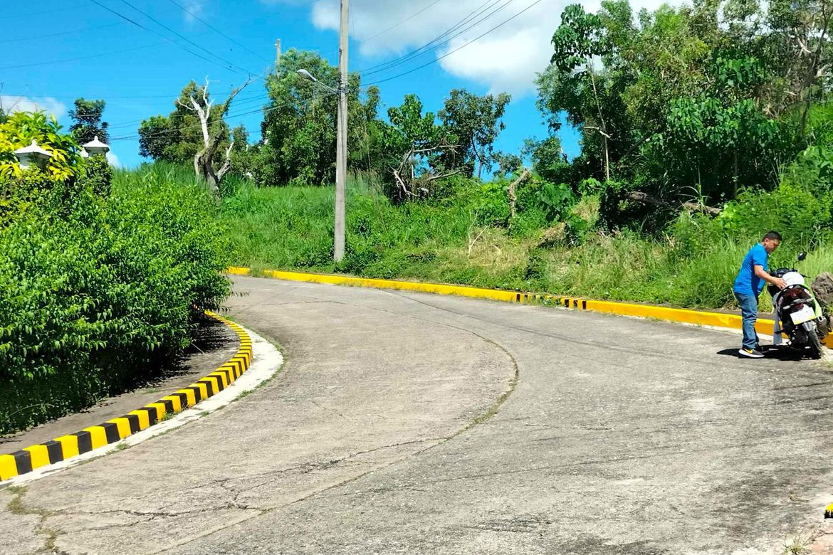 Land for Sale in Cadulawan, Talisay, Cebu – photo 3