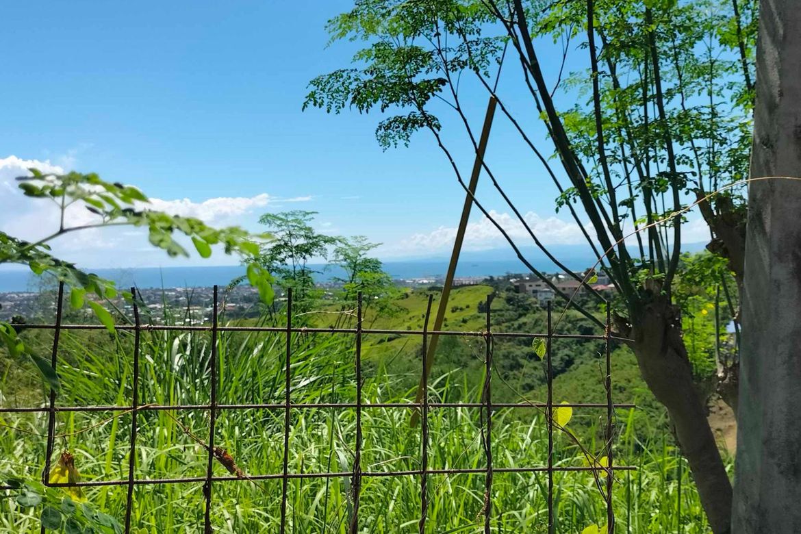 Land for Sale in Cadulawan, Talisay, Cebu – photo 6