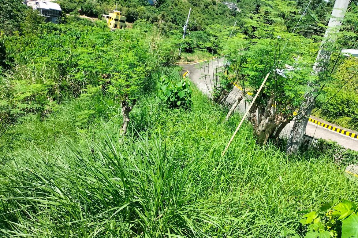 Land for Sale in Cadulawan, Talisay, Cebu – photo 7