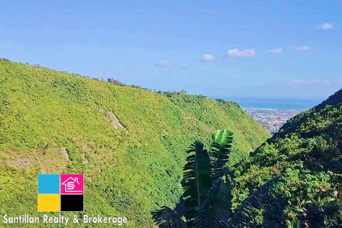 Land for Sale in Cadulawan, Talisay, Cebu – photo 3