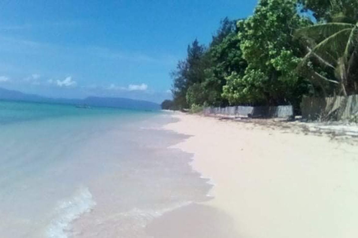 Land for Sale in Cagbalete I, Mauban, Quezon – photo 3