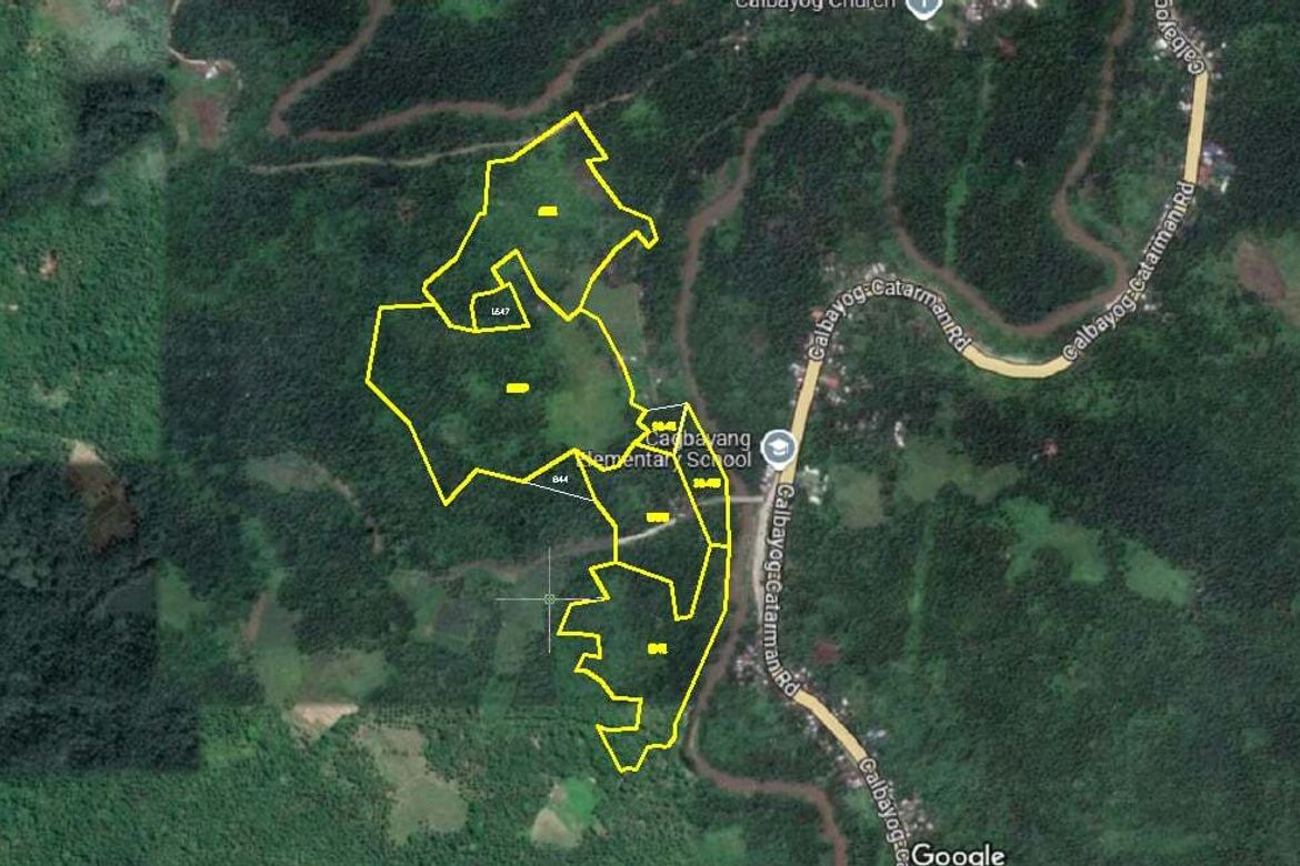 Land for Sale in Cagbayang, Calbayog, Samar