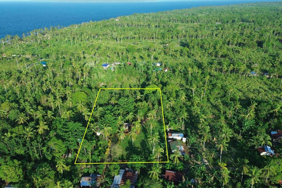 Land for Sale in Cagcagan, Poro, Cebu
