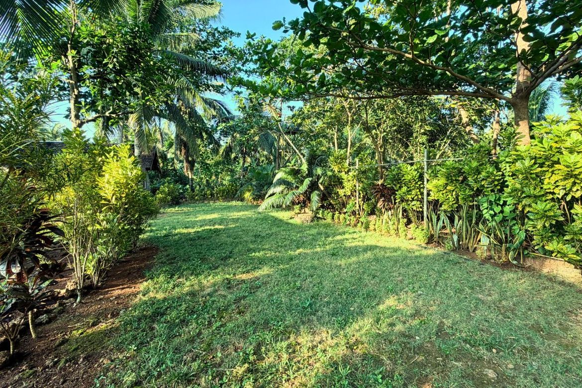Land for Sale in Cagcagan, Poro, Cebu – photo 5