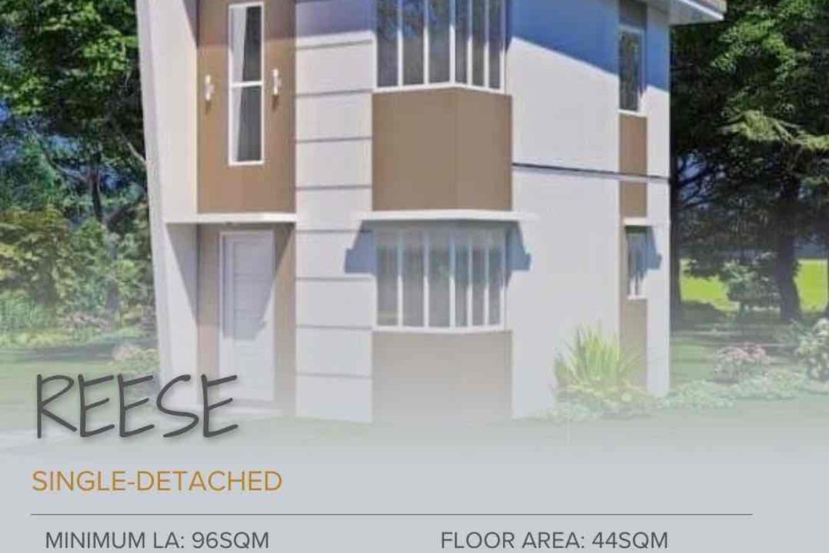 Land for Sale in Cagsiay I, Mauban, Quezon – photo 2