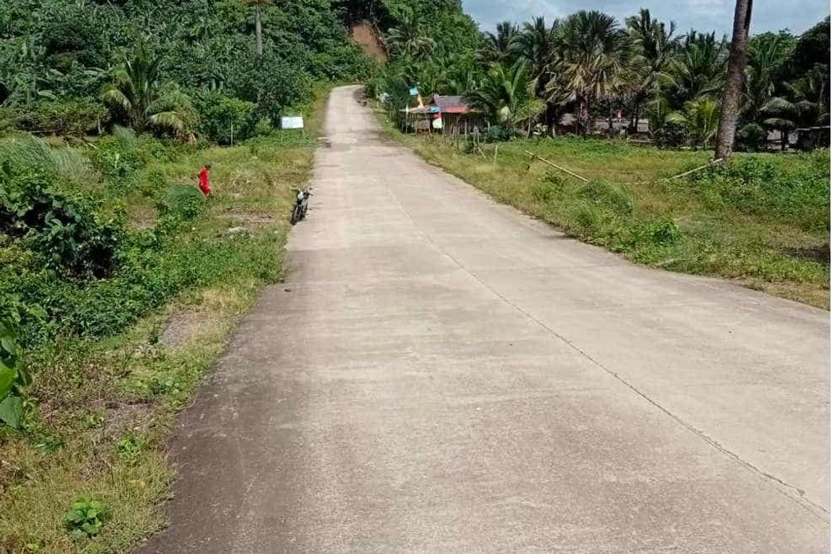 Land for Sale in Cagsiay II, Mauban, Quezon – photo 2