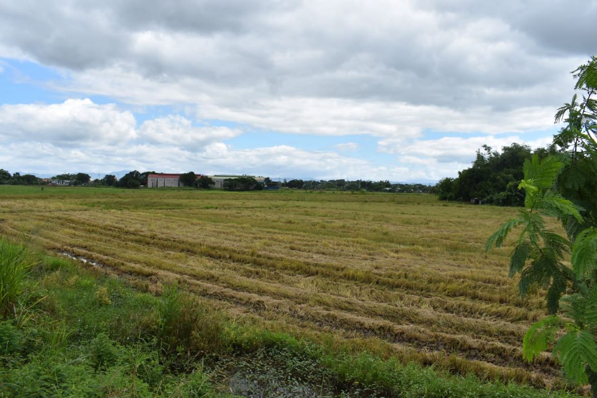 Land for Sale in Caingin, San Rafael, Bulacan – photo 6