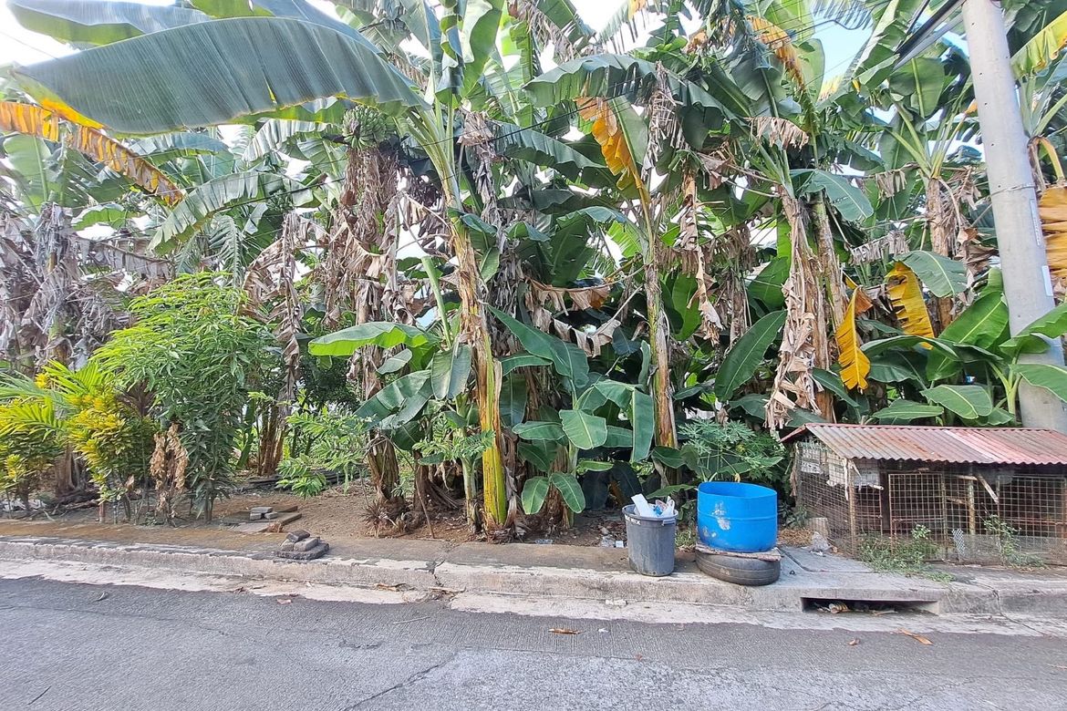 Land for Sale in Cainta Greenland Executive Village, San Isidro, Cainta, Rizal – photo 2