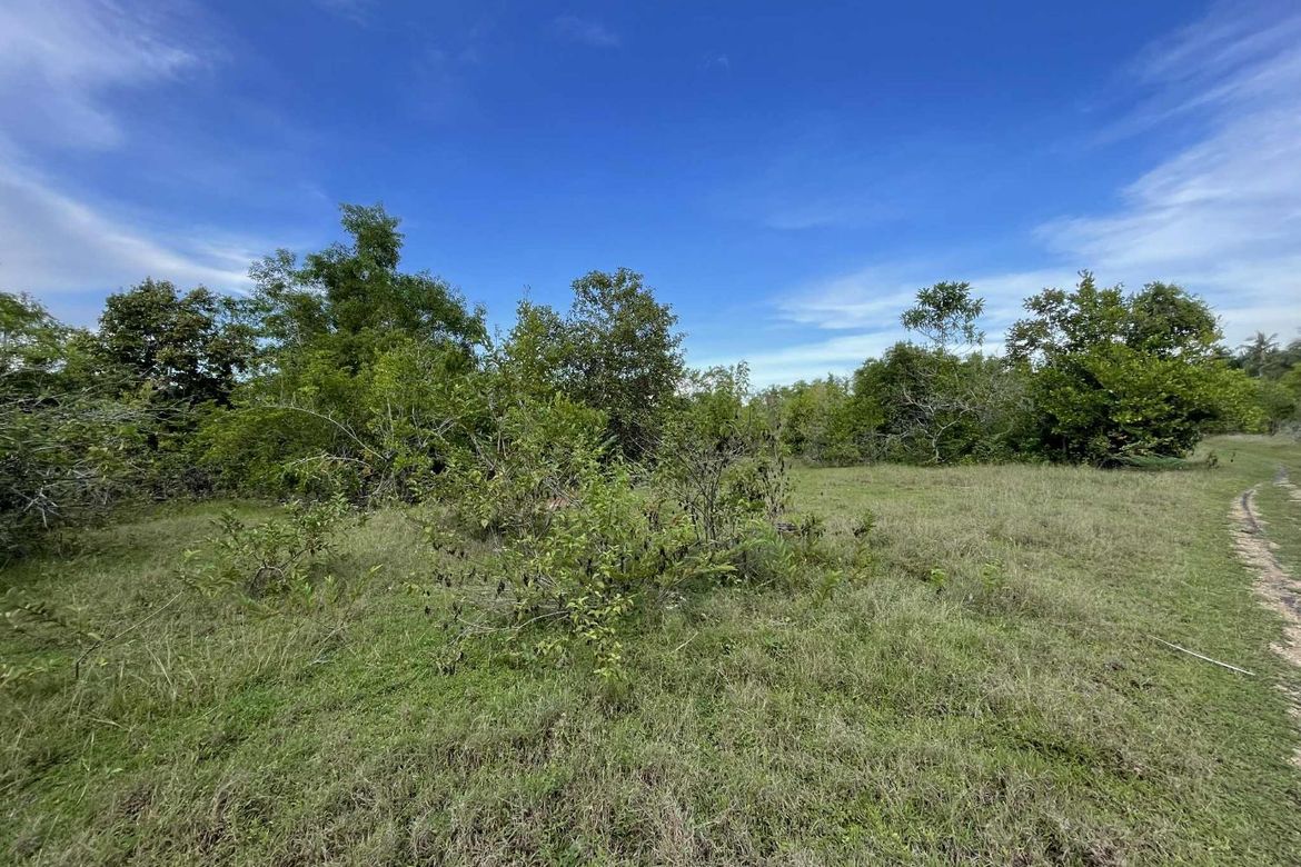 Land for Sale in Caipilan, Siquijor, Siquijor