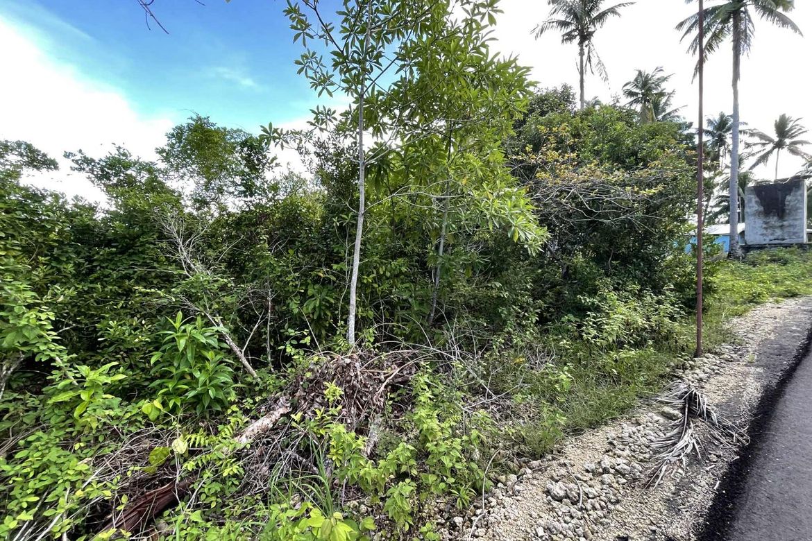 Land for Sale in Caipilan, Siquijor, Siquijor – photo 2