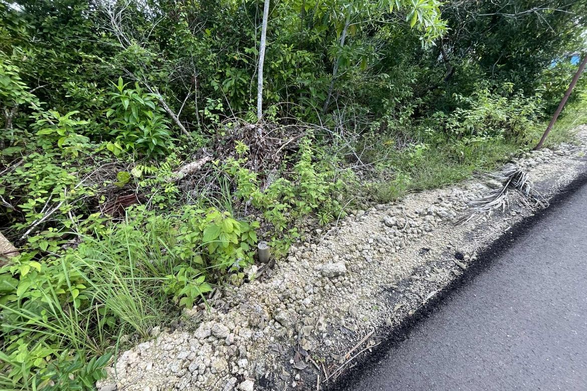 Land for Sale in Caipilan, Siquijor, Siquijor – photo 3