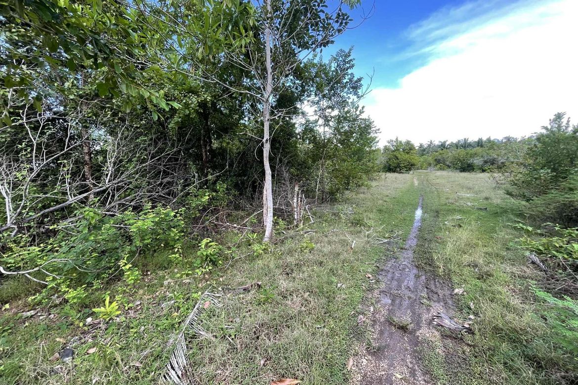 Land for Sale in Caipilan, Siquijor, Siquijor – photo 4