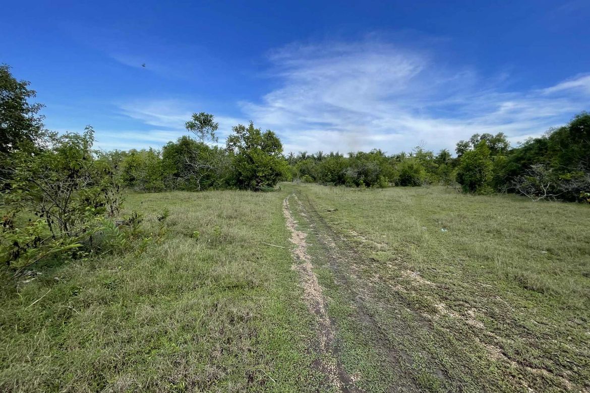 Land for Sale in Caipilan, Siquijor, Siquijor – photo 7