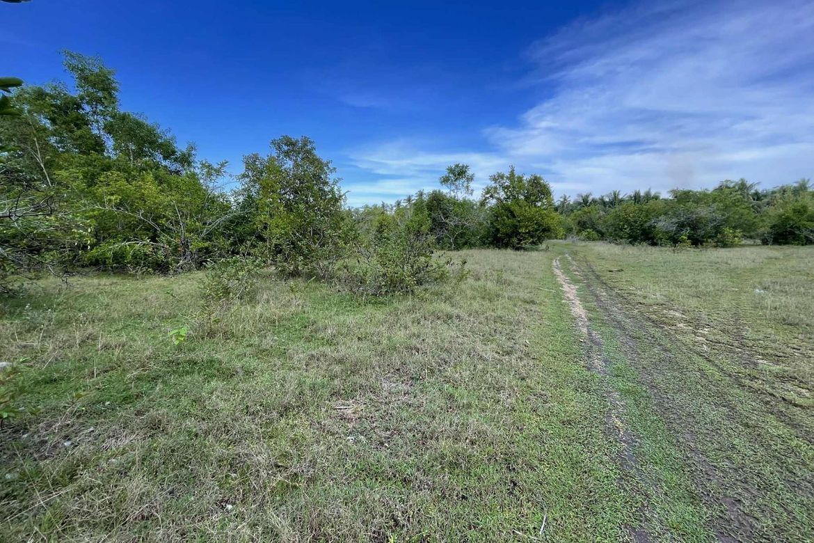 Land for Sale in Caipilan, Siquijor, Siquijor – photo 8