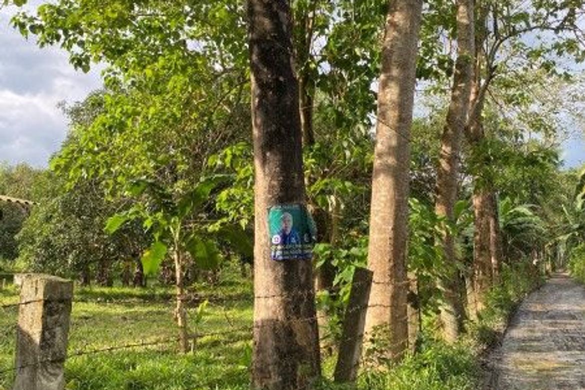 Land for Sale in Calabnugan, Sibulan, Negros Oriental