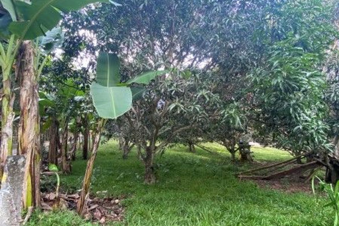 Land for Sale in Calabnugan, Sibulan, Negros Oriental – photo 3