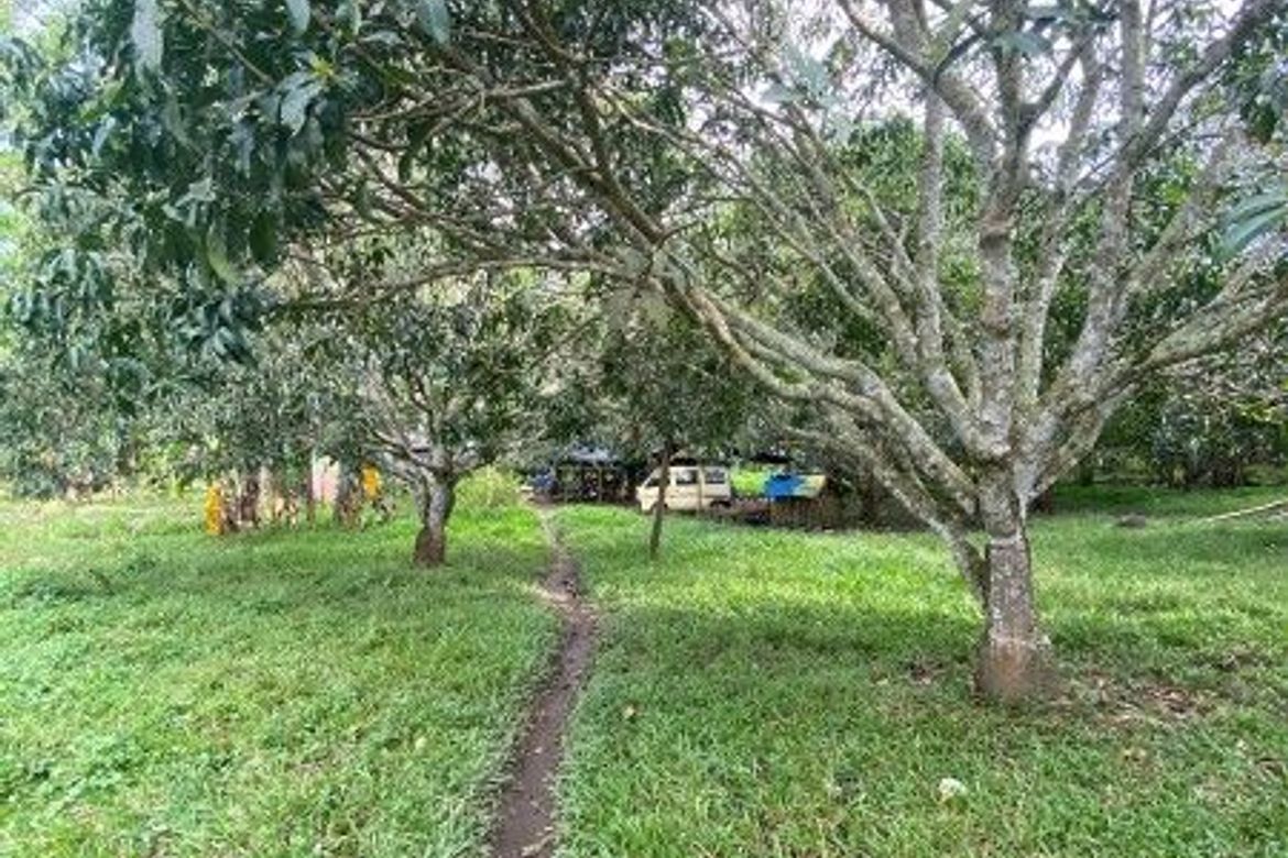 Land for Sale in Calabnugan, Sibulan, Negros Oriental – photo 6