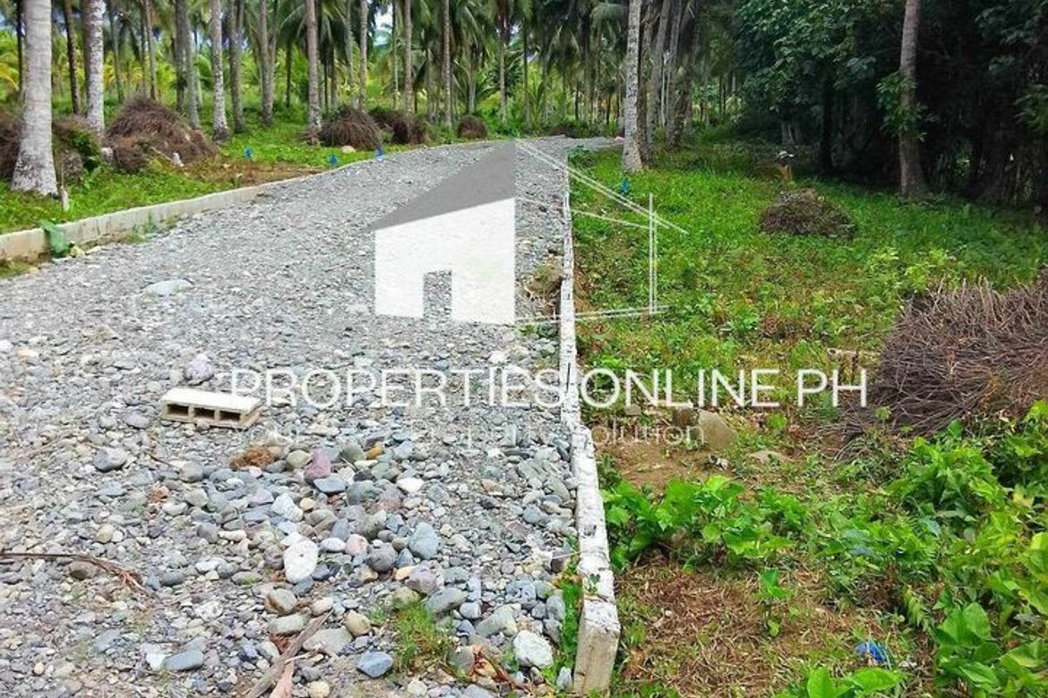 Land for Sale in Calabuanan, Baler, Aurora – photo 3