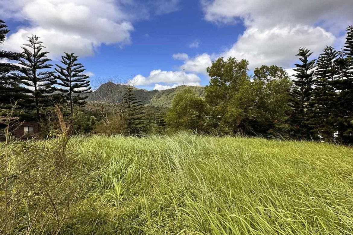 Land for Sale in Calabuso, Tagaytay, Cavite