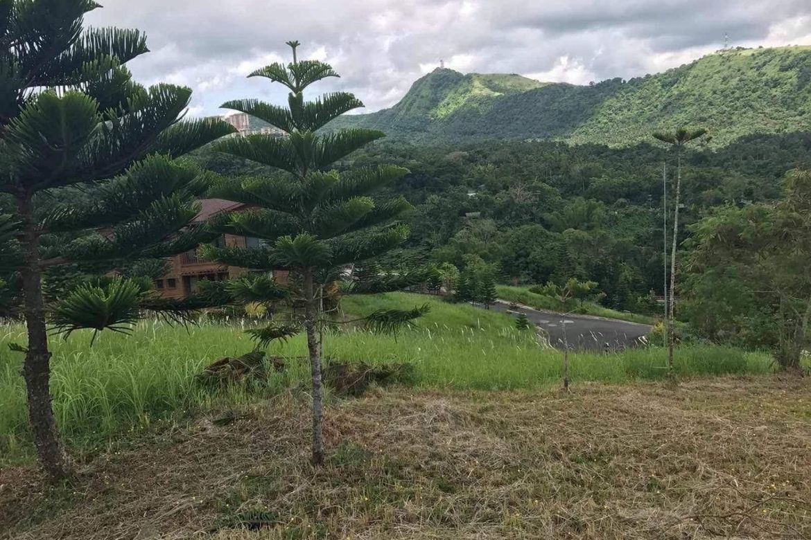 Land for Sale in Calabuso, Tagaytay, Cavite – photo 2