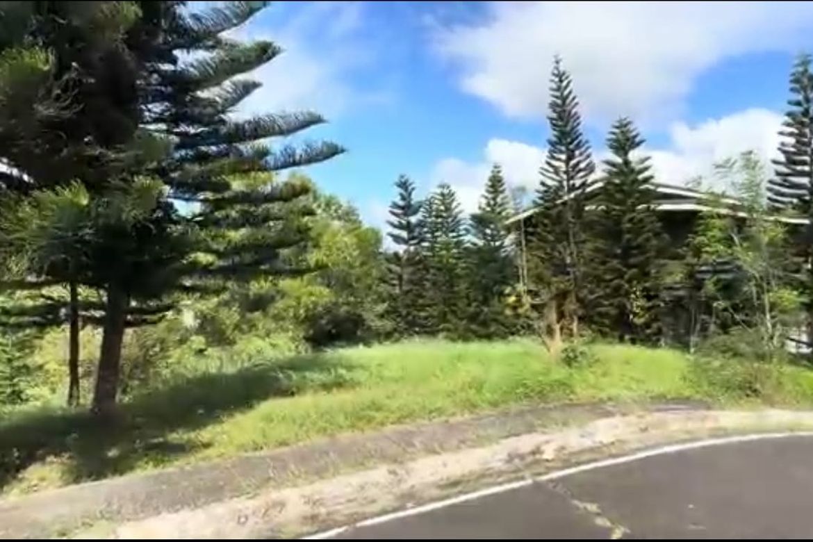 Land for Sale in Calabuso, Tagaytay, Cavite – photo 5