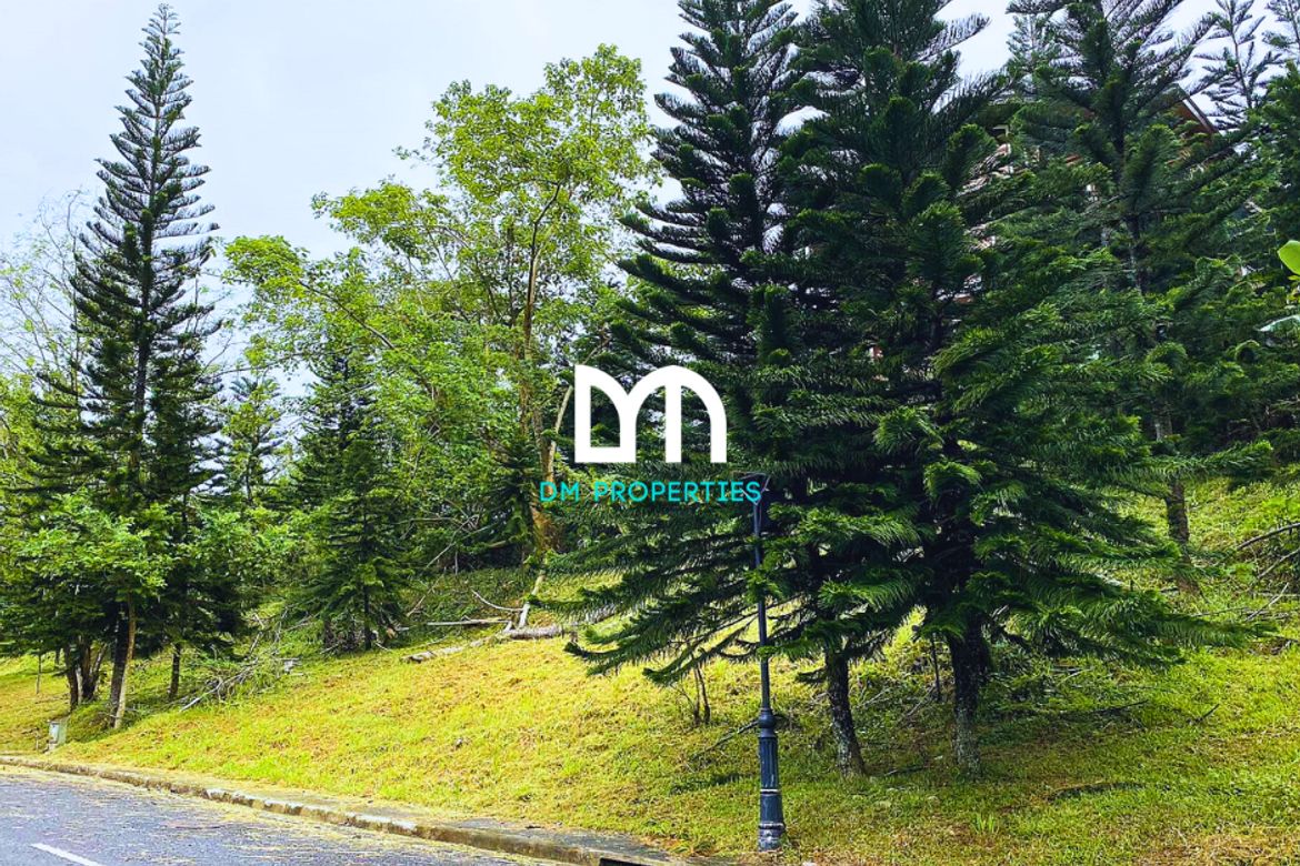 Land for Sale in Calabuso, Tagaytay, Cavite