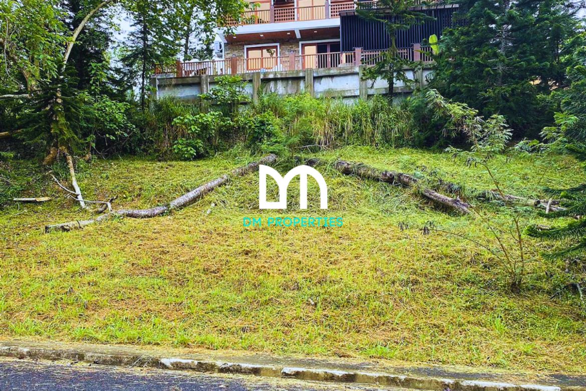 Land for Sale in Calabuso, Tagaytay, Cavite – photo 4